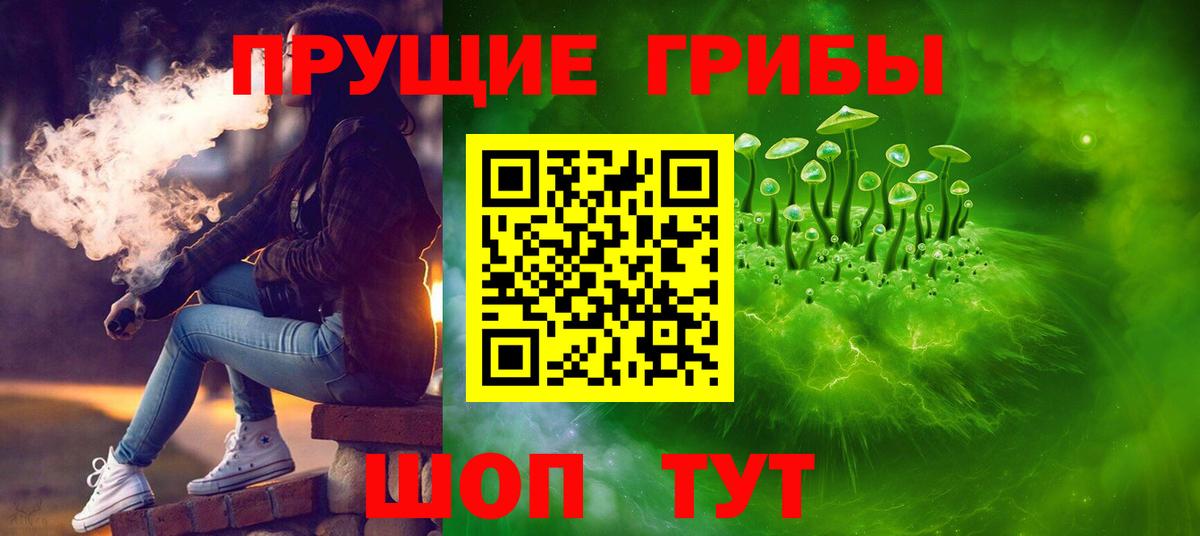 Псилоцибиновые грибы MAGIC MUSHROOMS  Галлюциногенные грибы Psilocybine cubensis  Вход с VPN  Дивногорск 